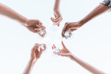 Friends have a picnic and toast with wine