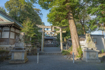 Fototapeta premium 杉生神社