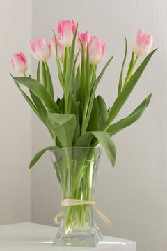 pink tulips bunch in vase into room on light backround