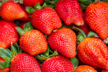 Fresh and delightful strawberries for a sweet treat