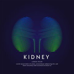 Human kidney medical structure. Vector logo kidney color silhouette on a dark background. EPS 10