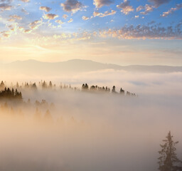 Obraz na płótnie Canvas Morning fog on slopes of the Carpathian Mountains (Ivano-Frankivsk oblast, Ukraine). View on Chornohora ridge.
