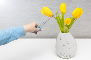 a man trims a flower standing in a vase with scissors