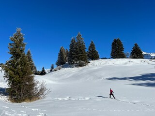 Wonderful winter hiking trails and traces after the winter snowfall above the tourist resorts of Valbella and Lenzerheide in the Swiss Alps - Canton of Grisons, Switzerland (Schweiz)