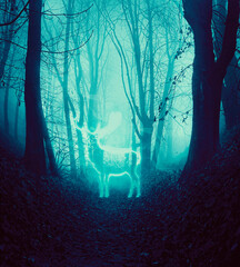Fototapeta premium Deer in the forest