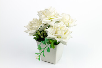 Bouquet of white roses in a vase on a white background
