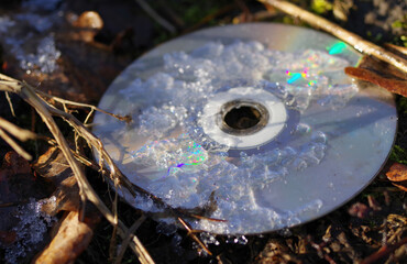 Porzucona płyta CD na łonie natury. 
