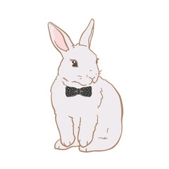 Cute bunny hand drawn illustration