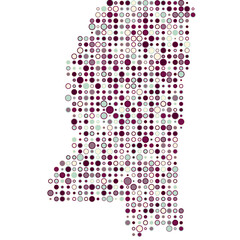 Mississippi Silhouette Pixelated pattern map illustration