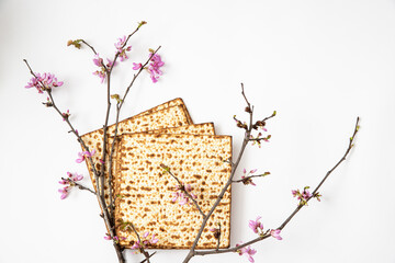 Jewish holiday Passover celebration concept with matzah flowering branches