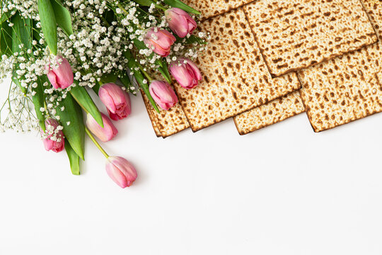 Jewish holiday Passover celebration concept with matzah and tulip flowers