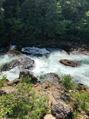 waterfall in the forest