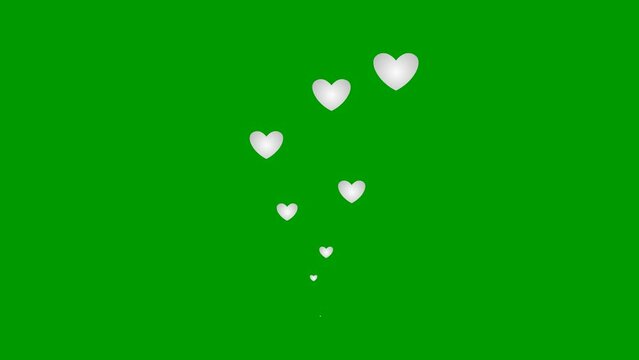 Animated silver hearts fly from bottom to top. Concept of love, passion. Fountain from golden hearts isolated on green background.