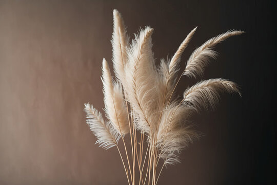 Banner the pampas grass. Reed Plume Stem Dried Pampas. Illustration AI Generative