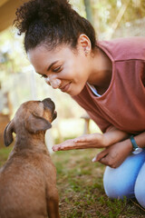 Happy black woman, pet puppy and play in garden, backyard or park for training, learning and...