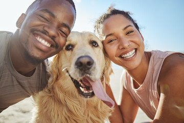 Face, dog and love with a black couple on the beach during summer walking their pet for fun or...