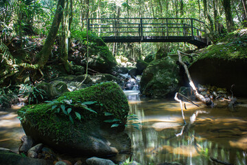 Small stream and a bridge to cross along the tropical rainforest in Kinabalu National Park, Sabah,...