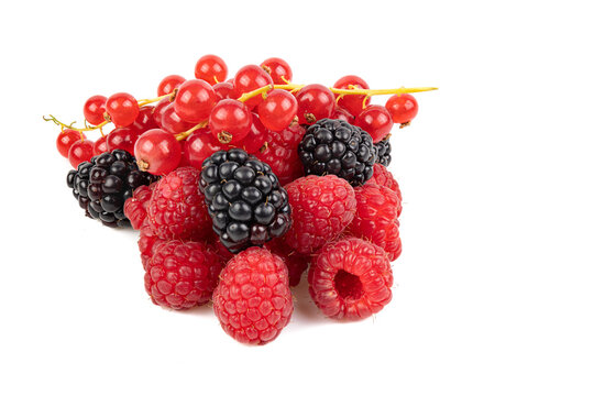 Fruit rouge