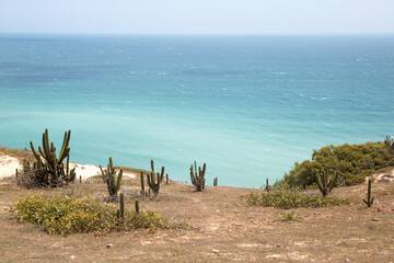 Praia Jericoacoara
