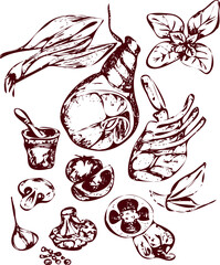 Vector hand drawn contur illustration with farm products, vector food illustration of meat and spice set, cooking meat.Sketch style.