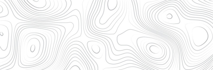 Black and white abstract topographic liens background.
