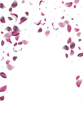 Violaceous Solar Flying Vector White Background