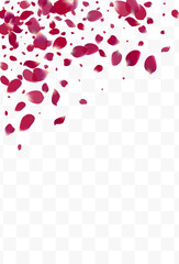 Beautiful Rose Flying Vector Transparent