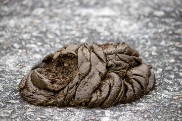 Close up of a big pile of cow crap