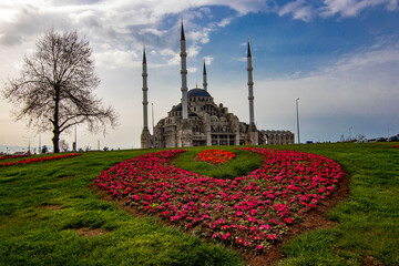 cami
