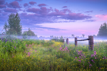 Rural landscape in the springtime