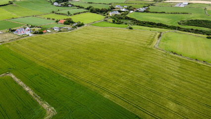 Green fields of Ireland, top view. Agricultural landscape, farm fields. Green grass