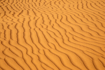 Red sand desert