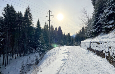 Excellently arranged and cleaned winter trails for walking, hiking, sports and recreation in the area of the tourist resorts of Valbella and Lenzerheide in the Swiss Alps - Switzerland (Schweiz)