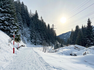 Fototapeta na wymiar Excellently arranged and cleaned winter trails for walking, hiking, sports and recreation in the area of the tourist resorts of Valbella and Lenzerheide in the Swiss Alps - Switzerland (Schweiz)