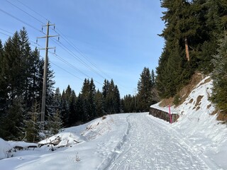 Excellently arranged and cleaned winter trails for walking, hiking, sports and recreation in the area of the tourist resorts of Valbella and Lenzerheide in the Swiss Alps - Switzerland (Schweiz)