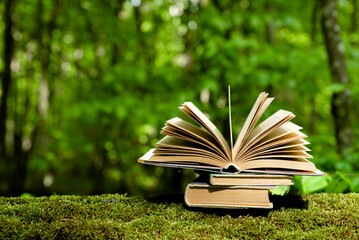 Old books lying on green moss in forest with trees in background. Open book with old paper pages....