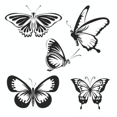 Obraz na płótnie Canvas White and Black butterfly bundle vector design.