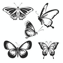 White and Black butterfly bundle vector design.