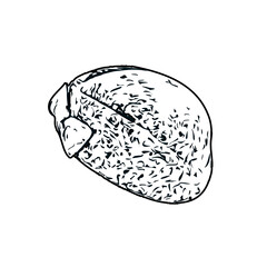 Black and white sketch of a hat with transparent background