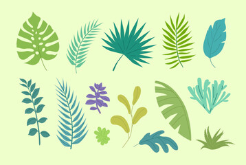 Green color tropical leaves and plants illustration