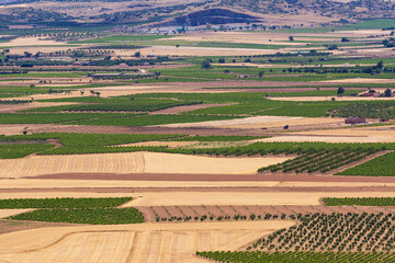 Fototapeta na wymiar La Mancha plain with geometries of agricultural plots of land