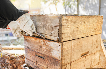 Beekeeping, start and hands of a person with box for sustainability, agriculture and production of honey on farm. Nature, ecology and beekeeper farming honeycomb for sustainable and natural food