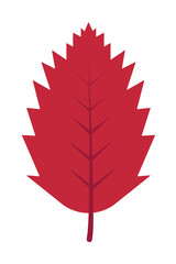 Autumn leave, red icon. Simple line, outline of color leaves icons for ui and ux, website or mobile application on white background