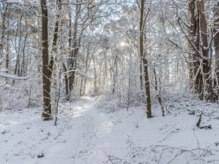 Winterlandschaft