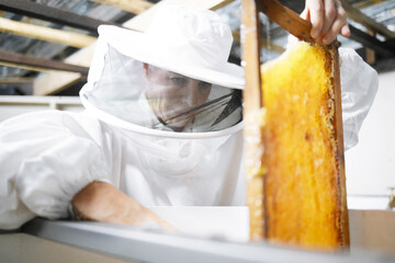 Fototapeta na wymiar Honeycomb, honey production and woman, farmer with suit for safety, manufacturing process with beekeeper and workshop. Bee farming, natural product from bees and organic, eco friendly and extraction.