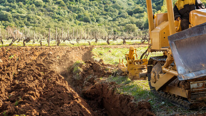 Farmer tills the soil with a heavy crawler tractor for planting a new vineyard. Agricultural...