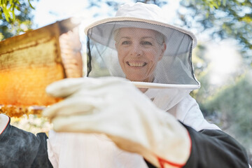 Beekeeping, farm and woman beekeeper in the honey production industry working on sustainable field....