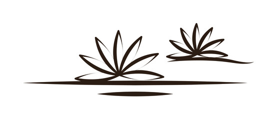 agave desert icon. Element of desert icon for mobile concept and web apps. Hand draw agave desert icon can be used for web and mobile on white background