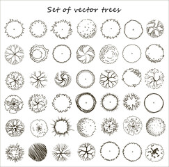 Simple tree collection, top view