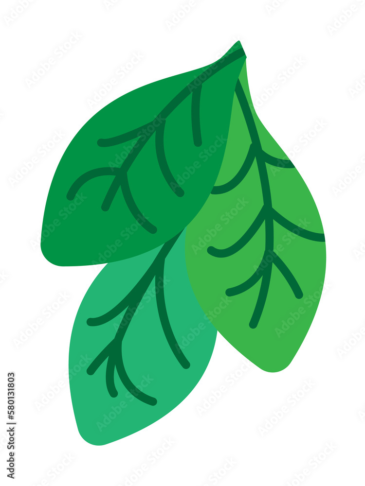 Aufkleber herb, spinach icon. element of herb icon for mobile concept and web apps. detailed herb, spinach ico